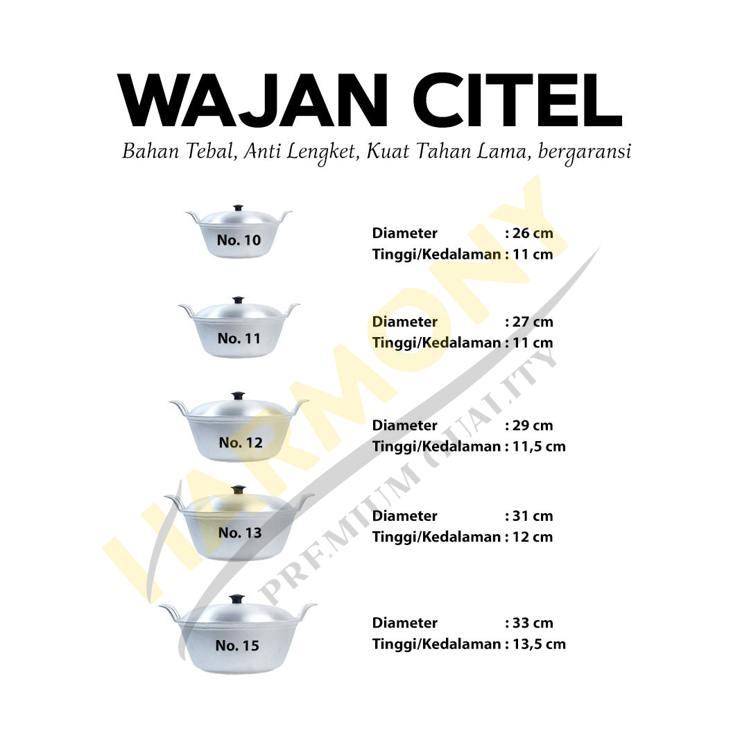 Wajan Citel 10-16